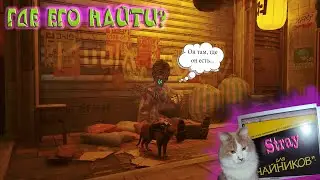Stray Как его найти?