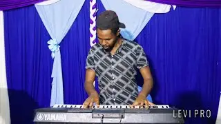 How good is YAMAHA PSR E463 in Seben? Levi Pro One Man Band