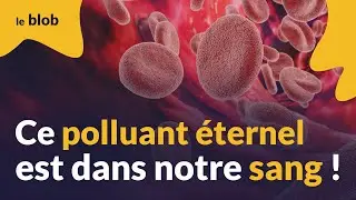 Révélation sur les PFAS, ces polluants éternels qui nous empoisonnent en Europe | Actu de science