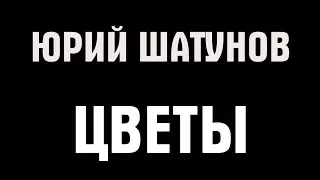 Юрий Шатунов - Цветы (Караоке)