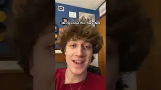 My Impression of Mario Talking About Wii Characters