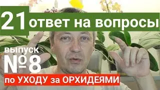 ОРХИДЕЯ в домашних условиях, МИНЕРАЛЬНАЯ ВОДА для орхидей и из АКВАРИУМА