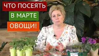 НЕ ОШИБИТЕСЬ СО СРОКАМИ ПОСЕВА! ЭТИ ОВОЩИ МЫ СЕЕМ В МАРТЕ!