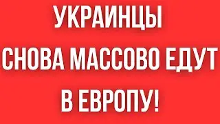 Украинские беженцы МАССОВО ЕДУТ В ЕВРОПУ! ГЕРМАНИЯ, ПОЛЬША, ЧЕХИЯ - ЦЕЛЬ БОЛЬШИНСТВА БЕЖЕНЦЕВ