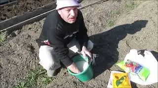 Дело на огороде и разные рассказы. (29.04.2023г.)