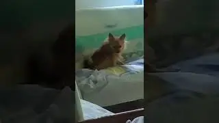 Ano kayang trip nito? 😂😂😂