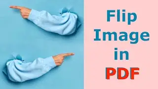 How to Flip an Image in Your PDF File