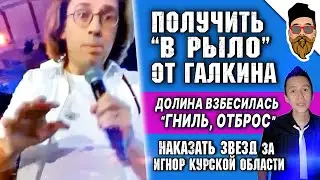 Оскорбление Галкина ДЕБИЛ, Долина взбесилась ГНИЛЬ, игнор звезд о Курской области