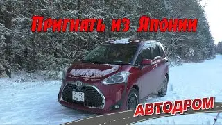 Как купить самому автомобиль с аукциона в Японии? Подробный рассказ: покупка, перегон, регистрация.