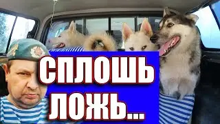 Сколько вранья на канале Лайки соловьева ю в?