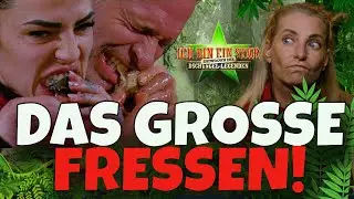 DSCHUNGELCAMP Tag 6 | RTL kassiert LUXUSARTIKEL! Giulias Beliebtheit sinkt täglich...