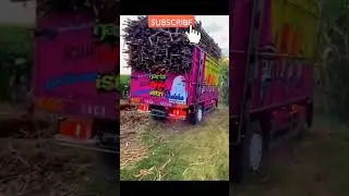 TRUCK TEBU GOYANG GOYANG #shorts #mobiltruk #youtubeshorts #mobiltruk #truck #trukoleng #viral