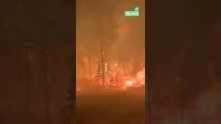 Так прямо сейчас горят леса в Якутии