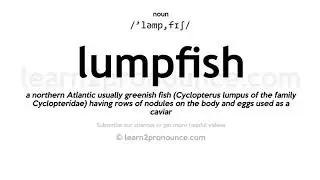 Pronunciation of Lumpfish | Definition of Lumpfish