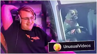 Пятёрка смотрит UNUSUAL MEMES COMPILATION V148 | Нарезка стрима ФУГА TV