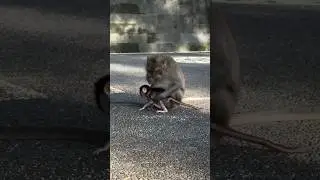 Напугалась, что потеряла малыша