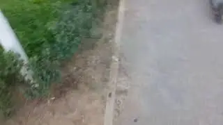 тестовый irl стрим.