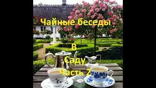 Чайные беседы в саду   Часть 2   Поговорим  о срезочных розах и о самых заветных розовых  желаниях)