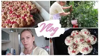 VLOG🇩🇪: Пол дня на кухне🙈/закупка продуктов🌸