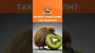 Почему птицу киви так назвали? Удивительная история! 