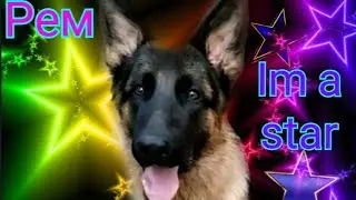 Клип|Рем|Im a star