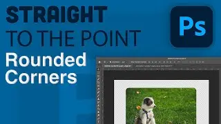 Rounded corners in Photoshop (2024)