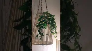 ФИКС ПРАЙС🔥ДЕКОР ИЗ БАМБУКОВЫХ ОПОР 