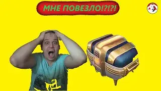 Контейнер expo - Выпала ИМБА!?!?! - Tanks Blitz