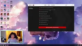 [B&S] What Ping Reducing program I use and how to set it up