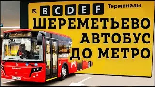 Как добраться из аэропорта шереметьево до метро Ховрино?! Дёшево Автобус до Ховрино из Шереметьево?!