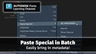 Paste Special in Batch - Flame 2024
