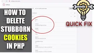 COOKIES WON'T DELETE IN PHP | PHP COOKIES