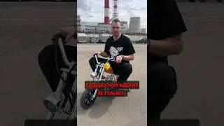 Ты – не ты, когда голоден! 