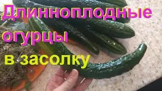 ДЛИННЫЕ ОГУРЦЫ на зиму. Простой Рецепт Вкусного маринада #5