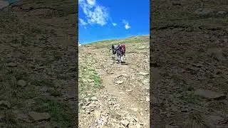 Вид на ледник