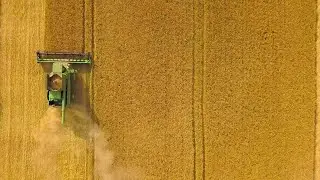 Война России угрожает глобальной продовольственной безопасности