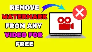 How To Remove Watermark From Video