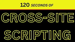 Cross-Site Scripting in 120 Seconds