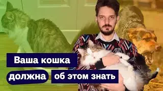 Федян. Пидкаст #1. Сыр в свечке