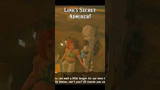 Link's SECRET Admirer in Tears of the Kingdom