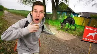 ОБНАРУЖЕН МУТАНТ В ЧЕРНОБЫЛЕ | Полное видео