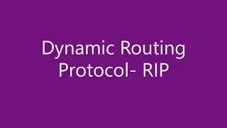 Dynamic Routing Protocol- RIP | SANA LECTURES