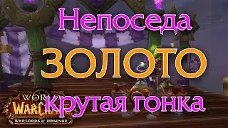 Непоседа: золото, крутая гонка Новолуния