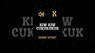 Kiw Kiw Cukurukuk Sound Effect #soundeffects #shorts