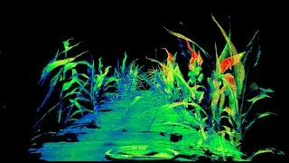 Leveraging AI and NVIDIA GPUs to Advance Research in Crop Production