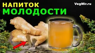 REJUVENATING herbal infusion – antioxidant herbal tea for regeneration and recovery of the body