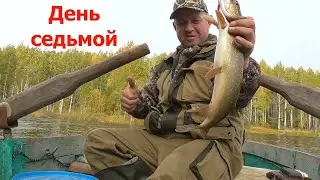 Жизнь на кордоне/сбор ягод/проверка морд и жерлиц/таежная кухня/10 часть