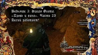 Ведьмак 3: Дикая Охота. Кровь и вино. Часть 25. Аксий работает!