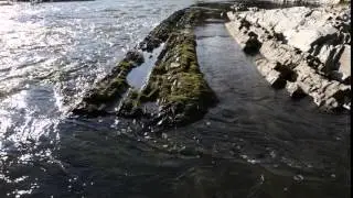 Солнечные Блики на Воде. Скалистый берег