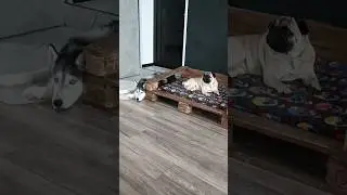 Ржавая техничка